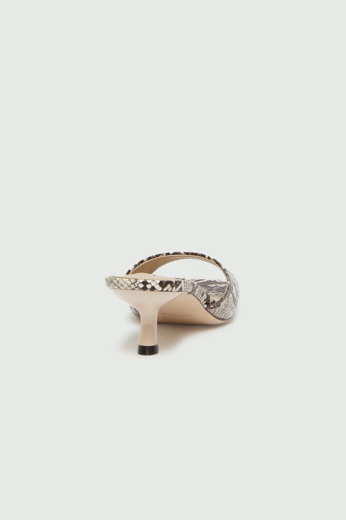 Marella Conio avokkaat python