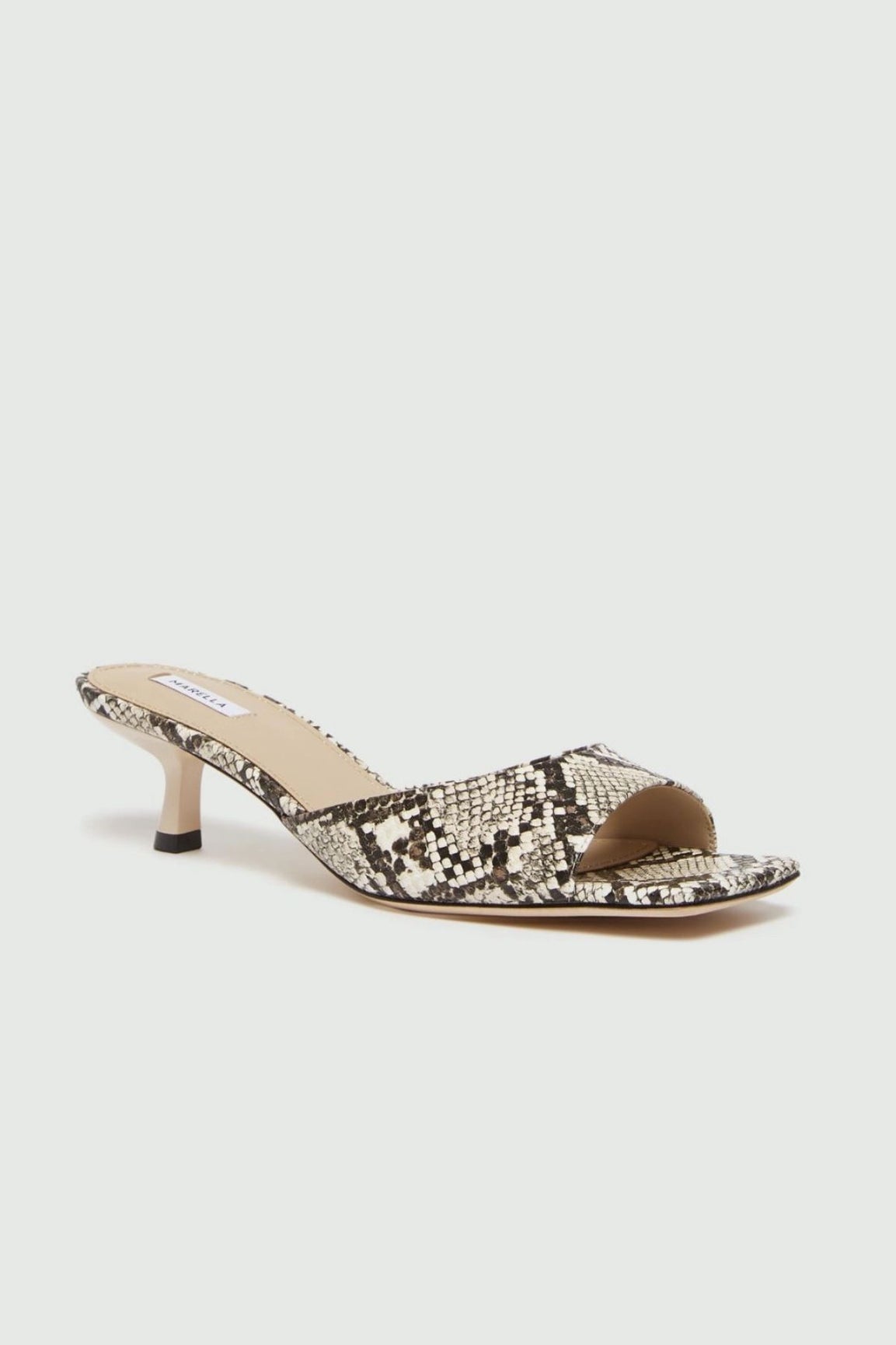 Marella Conio avokkaat python