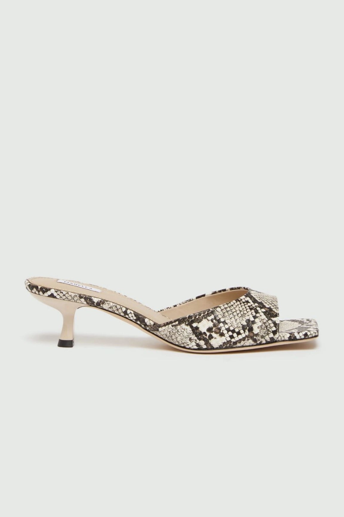 Marella Conio avokkaat python