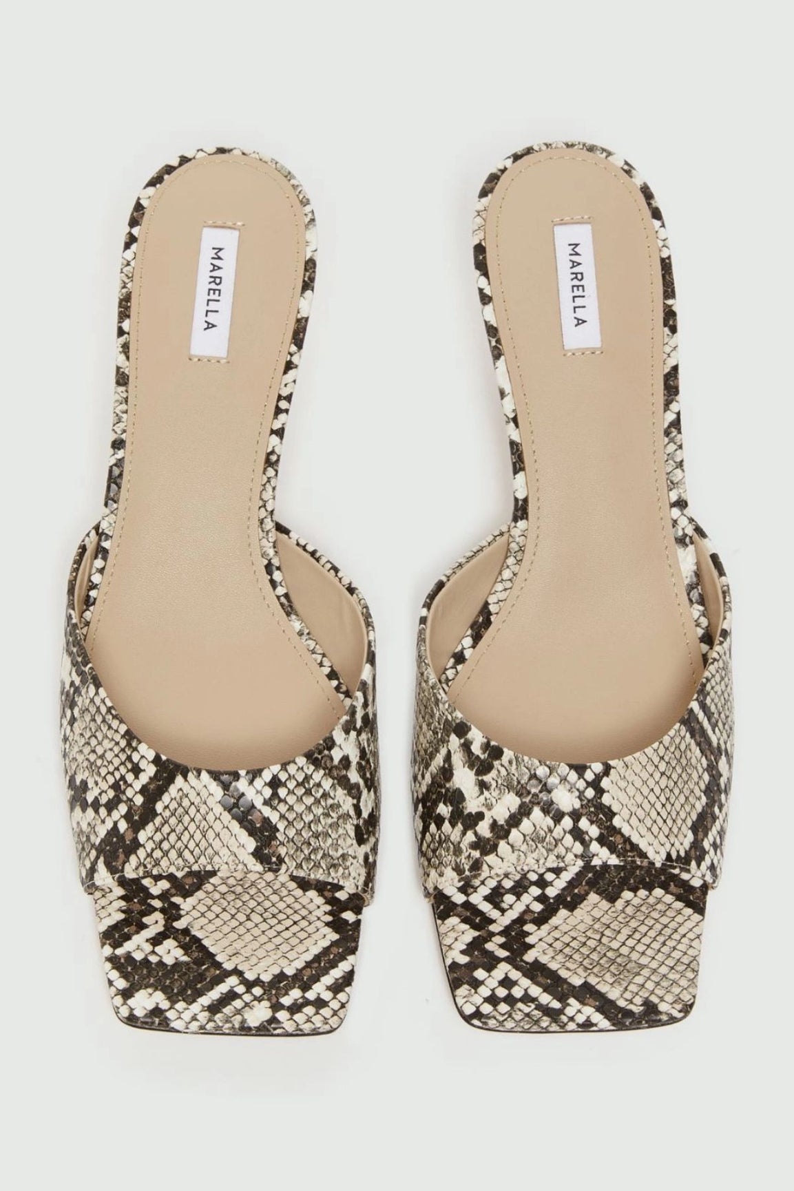 Marella Conio avokkaat python